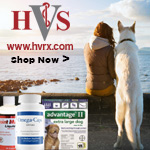 Coupon Image